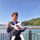 풀꽃산장