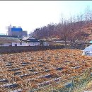 좋은친구공인중개사사무소 이미지