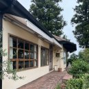 하례학림로 | 제주 조용하고 예쁜 마을에서 먹는 딱새우파스타와 문어필라프 미미파스타