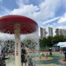 첨벙첨벙 | 증평 물놀이터 보강천 첨벙첨벙 물놀이장 리모델링 후기 (준비물, 운영시간)