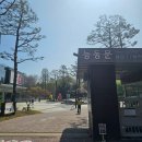 하루일식 | 서울 아이와 가볼만한곳:) 서울상상나라 갔다가 하루 순삭... 서울 일식 맛집 멘츠루까지 식사 후기