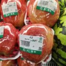 (주)코하루 이미지