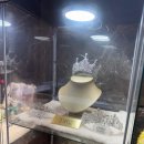 티아라옷수선 | w6. 창원 웨딩밴드|웨딩링 계약후기 - D102창원점