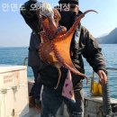 오케이피싱
