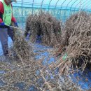 소연농장 이미지