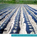 더오크라 이미지