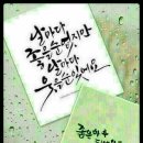 홀마트 이미지