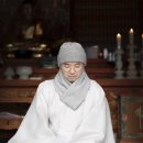 정진 이미지