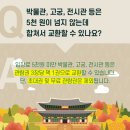 책 나와라 뚝딱 이미지