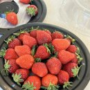 하궁농장 이미지