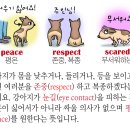 DOG사랑 이미지