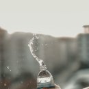 첨단기업로2L(2)-7 | 7일 동안 하루 2L 물 마시기 후기 (가정생활, 붓기변화, 화장실빈도)