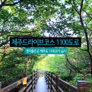 1100고지 휴게소 ↔ 서귀포시 방향 이미지