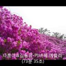 김용임 최신 명품가요 22곡 이미지