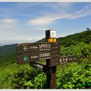이리화원