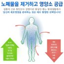 도전44
