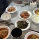 태평하개 | 고요한 남쪽 땅에는