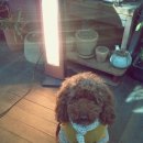 곰두리PC 이미지