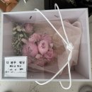 항상봄처럼 스튜디오 | [공지] Wedding🤍 603스튜디오 촬영 후기