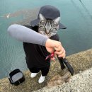 통영, 남해 등 낚시포인트 후기 1탄 🎣 (with. 성공과 실패썰)