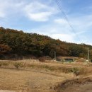 국동리경로당 네이버블로그