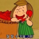 인베이스터디카페거창점