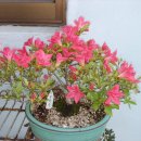 승모당구장 이미지