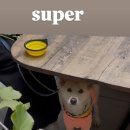 정아수퍼 이미지