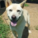 장금농장 이미지