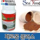 붕어타임 이미지