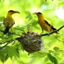 푸른산업 이미지