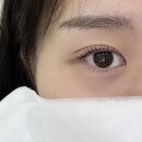 다이소 수내2호점 | 분당속눈썹펌 잘하는곳- 판교 아이예쁨스튜디오 (유지력, 관리비법)