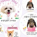 디자인키위