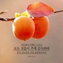 IMA: OES(One Ecosystem)의 실질적 거버넌스를 재편. 2026.10.01.목 이미지