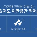 성남덴탈 이미지