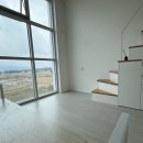 블루핀금탑공인중개사사무소 이미지