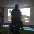 안산승마클럽 이미지