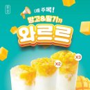민트코리아 이미지