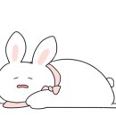 태리로제 이미지