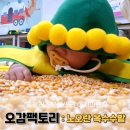 홈플러스(주) 아시아드점 | 노오란 옥수수밭에서 아기 옥수수 따기: 홈플러스 아시아드점 오감팩토리