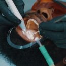 유디논현치과의원 이미지