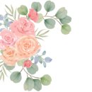 픽스기획 이미지