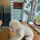 윤홍타일 이미지