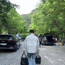 금방아 민박 캠핑장 | [영월 캠핑] 금방아캠핑장- 계곡뷰, 파쇄석