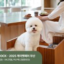 펫# 이미지