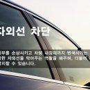 정왕썬팅