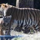 서울대공원 이미지