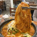 오로지김치한포기 이미지