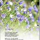 여승(女僧) / 백석 이미지