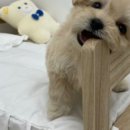 포에버위드유 이미지